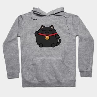 Lucky Natural 20 Cat D20 Dice Hoodie